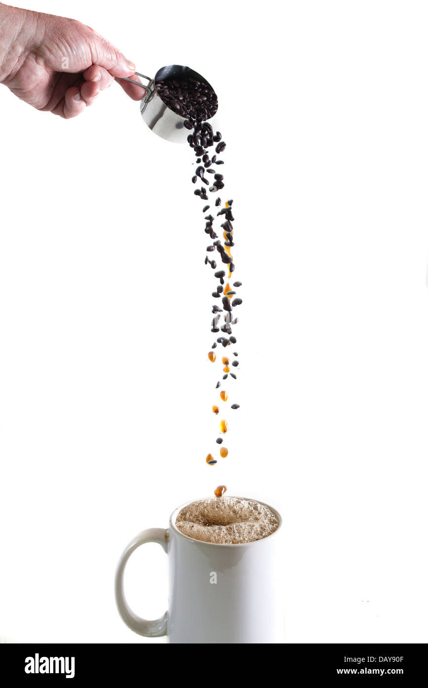 Von der Bohne zur Tasse